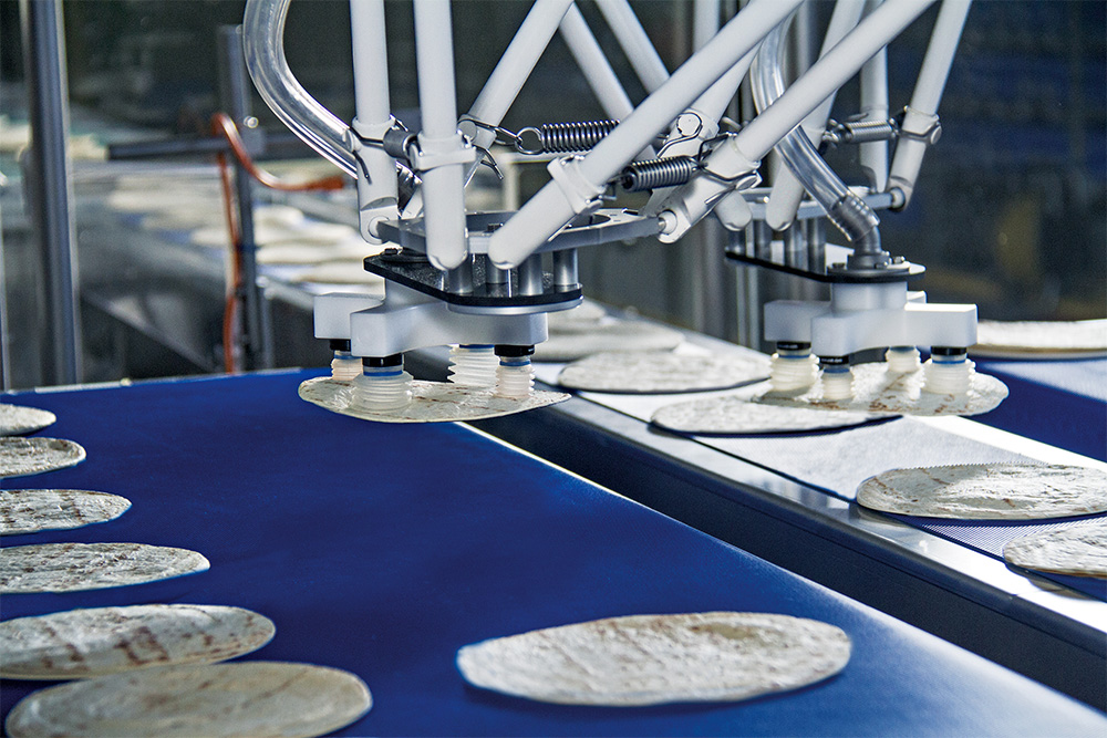 Delta robots picking tortillas and placing them on a hygiene conveyor belt.